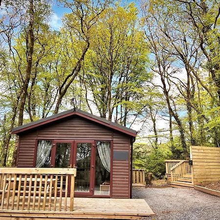 Woodland View -Hot Tub-Tenby-Carmarthen-Сейнт Клиърс Екстериор снимка