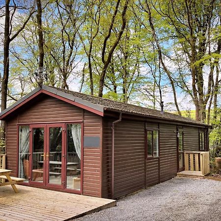 Woodland View -Hot Tub-Tenby-Carmarthen-Сейнт Клиърс Екстериор снимка